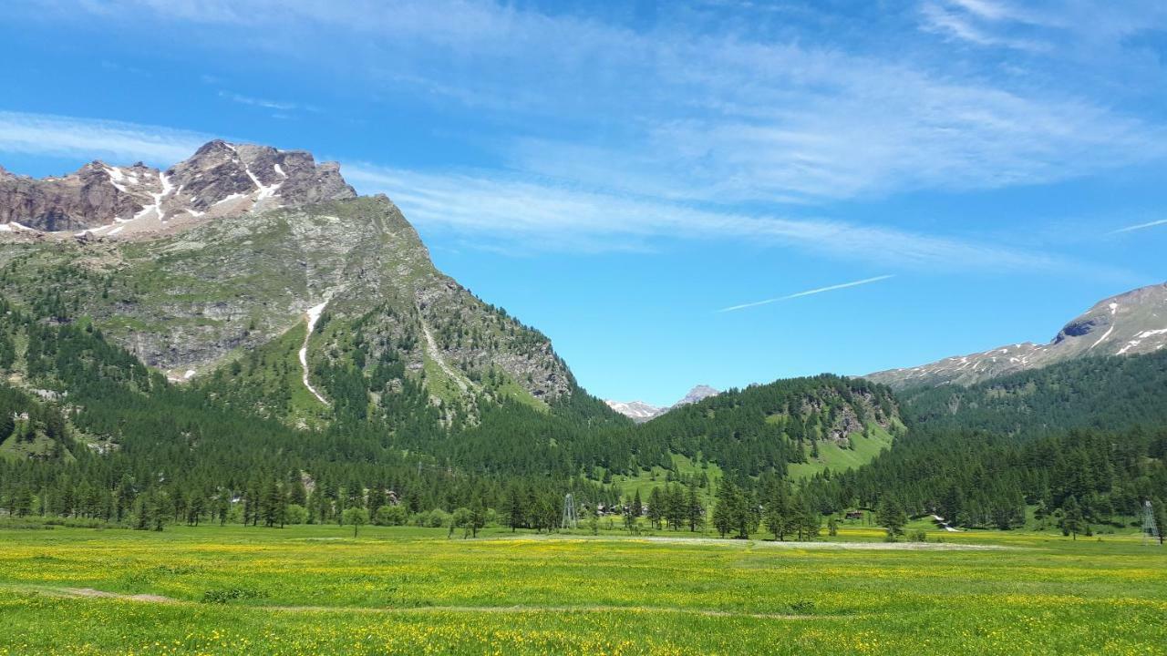 La Piana Appartamenti Alpe Devero Eksteriør billede
